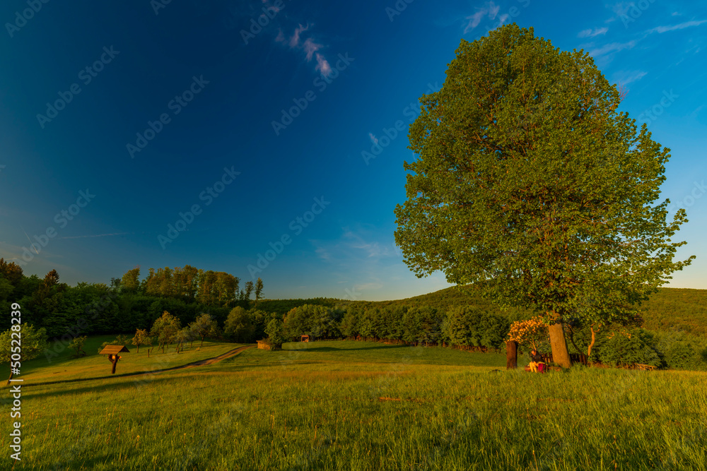 Fototapeta premium Landscape near Konice village in sping fresh color morning