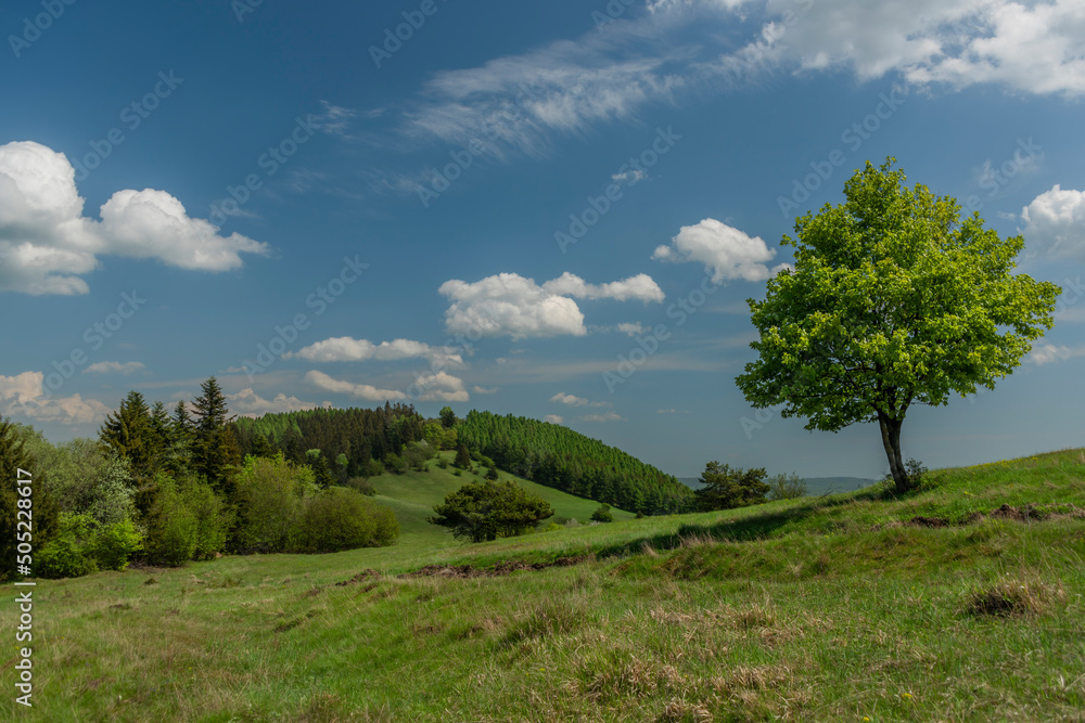 Landscape near Banska Stiavnica town in sping fresh color morning with tree