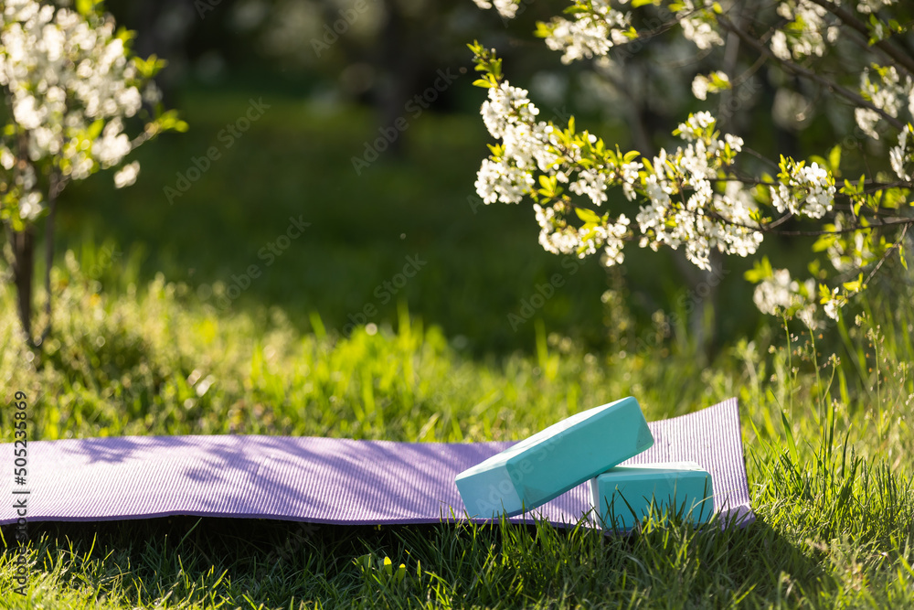 yoga mat on a green lawn. Bright colors. Front view. Concept fitness outside, sport, healthy lifestyle, quarantine, home gym. Sunny day. Copy space. Nobody - obrazy, fototapety, plakaty 