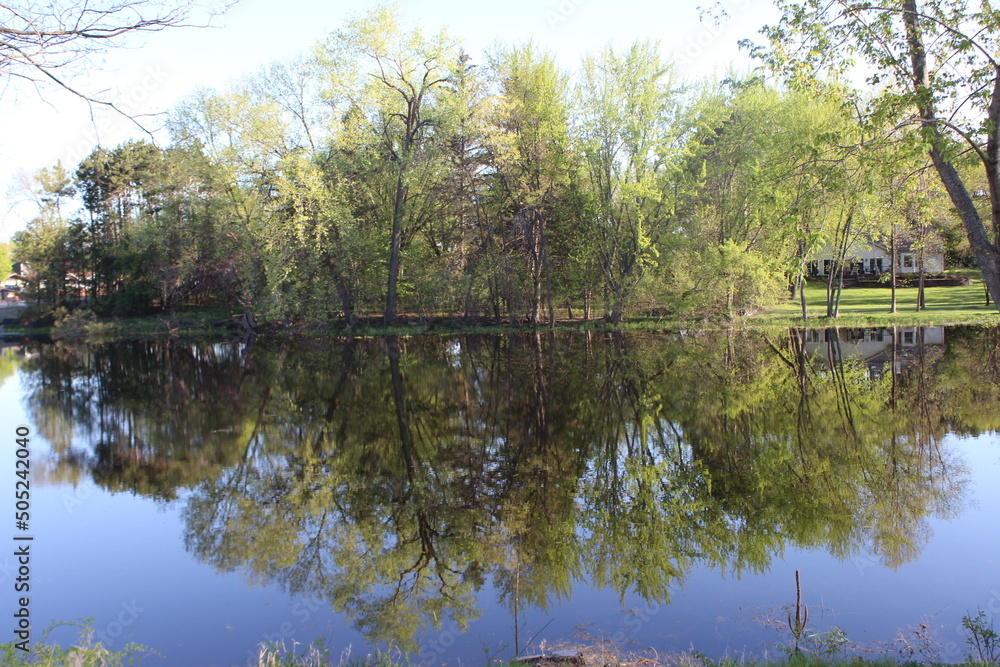 reflection of trees in the lake