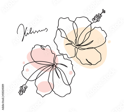 Beautiful hibiscus flower pattern. Line art concept design. Continuous line drawing. Stylized flower symbol. Vector illustration