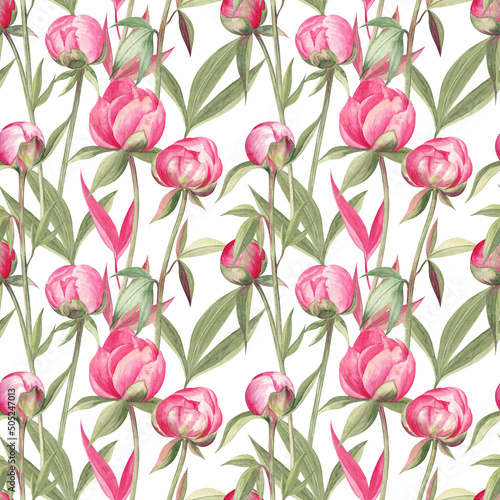 Seamless pattern with peonies on white background. Watercolor hand drawn flowers and leaves. Elegant floral pattern for fabric  wallpapers  stationery design. Perfect for summer season.