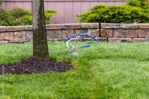 Sticker Freshly laid grass sod being watered in in front of an older residental building with a simple hose sprinkler