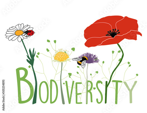 Illustration of flowers, butterflies and bees from the Scandinavian nature with statement about nature and Biodiversty photo