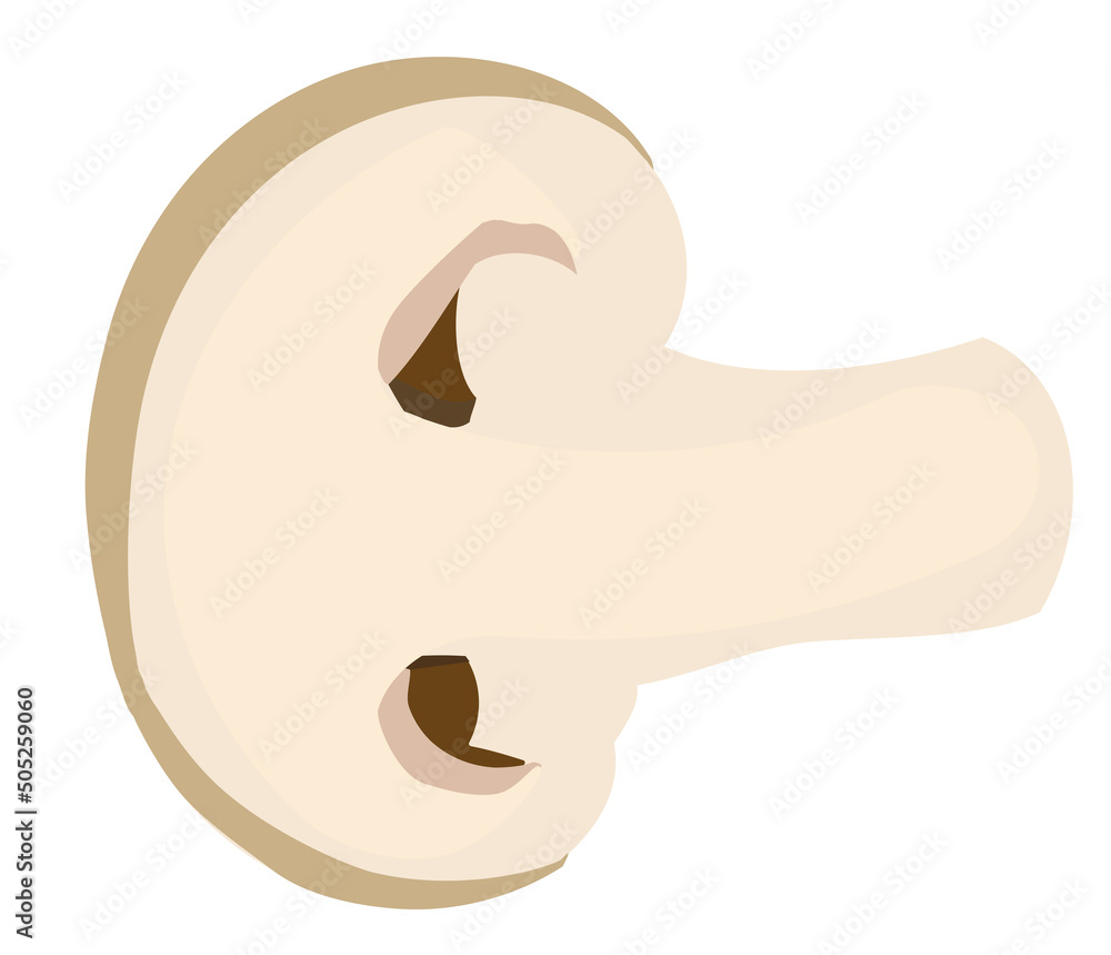 Half mushroom vector illustration design isolated on bright white background. Half mushroom vector illustration design isolated on bright white background.