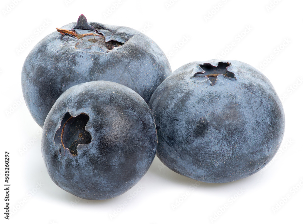 Macro of juicy fresh three blueberries on isolated white background Macro of juicy fresh three blueberries on isolated white background