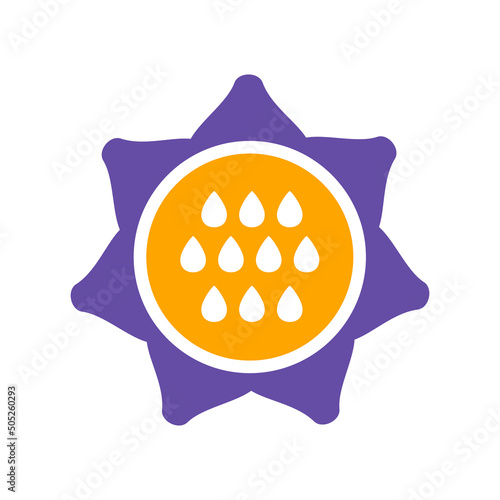 Sunflower outline glyph icon. Vegetable vector