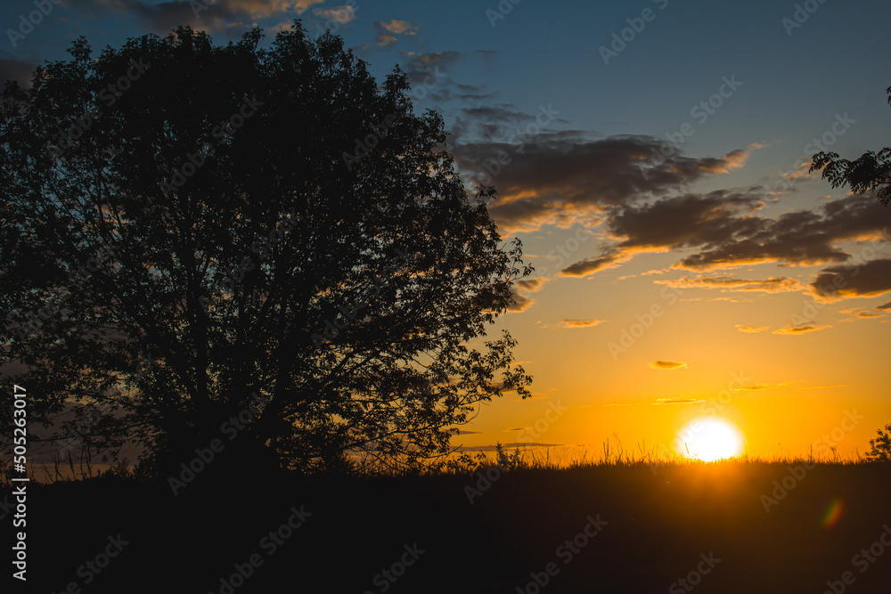 Fototapeta premium A cyclist rides through a field against the backdrop of a beautiful contour sunset light. Beautiful sunset. Photo of nature. Velotheme.