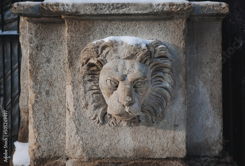 Snow-covered head of a lion made of stone on the facade of an old house in Lviv. Winter architecture. Decor element of a European city.