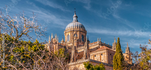 The New Cathedral of Salama...