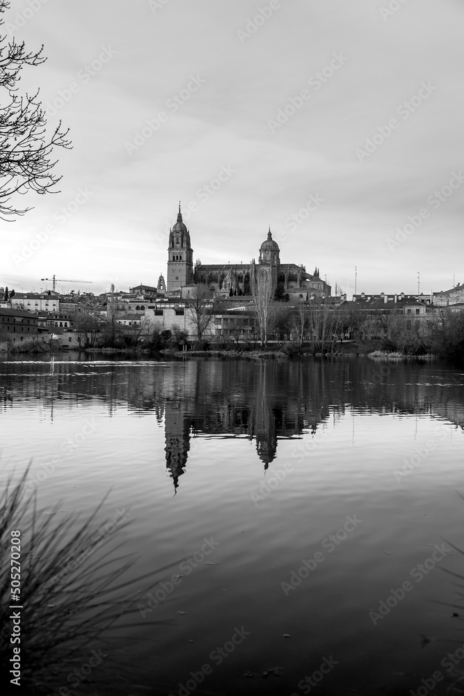 Fototapeta premium Salamanca Skyline view with the Cathedral, Spain