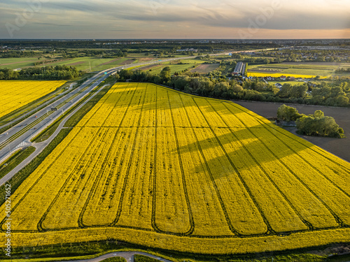Obraz na plátně Field of  rapeseed close to big city and highway