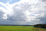 White-blue clouds over a green field. Above a large uneven field with green grass along the edges of which a forest grows, large white rain clouds hang low through which the blue sky peeps through.