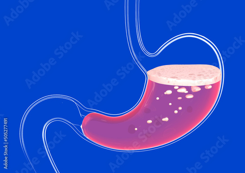 3d illustration of the human stomach doing digestion. Transparent glass, anatomical cut on a blue background. photo