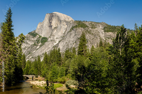 Half Dome in Yosemite Nation Park with trees in the foreground