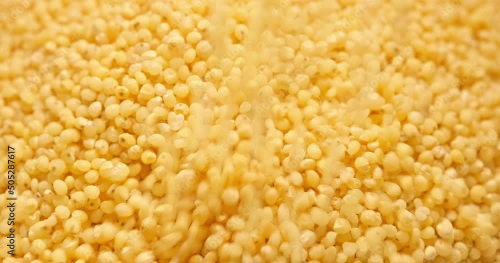 Heap of raw uncooked dried seed Heap of raw uncooked dried seed