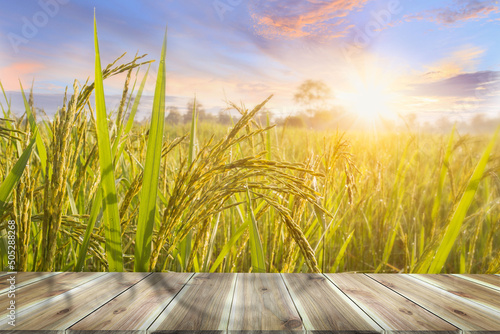 Brown wooden table board empty on Beautiful Organic paddy-field. Rice field and sky background at sunset time with sun rays.