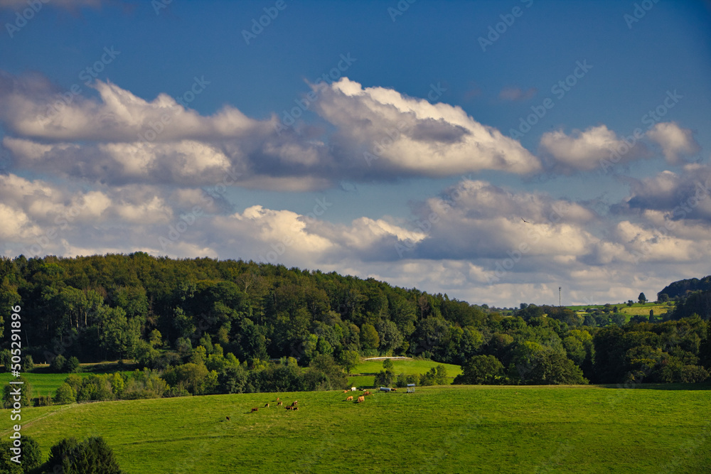 Fototapeta premium landscape in the mountains