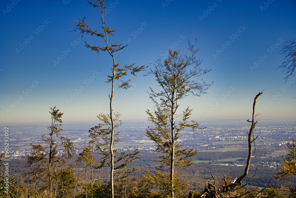 Fototapeta premium Blick auf den Horizont 
