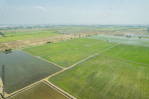 aerial view from flying drone of Field rice with landscape green pattern nature background, top view field rice