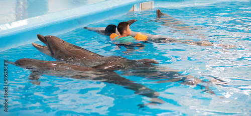 child swimming with dolphins