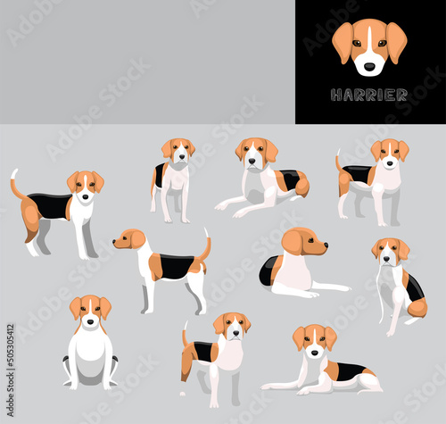 Dog Harrier Cartoon Vector Illustration Color Variation Set