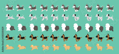 Dog Alaskan Malamute Dalmatian Old English Sheepdog German Shepherd Golden Retriever Walking Running Cartoon Vector Set