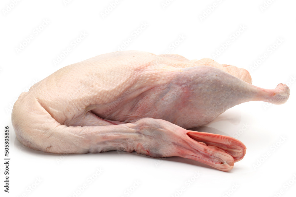 Raw duck isolated on white background Raw duck isolated on white background