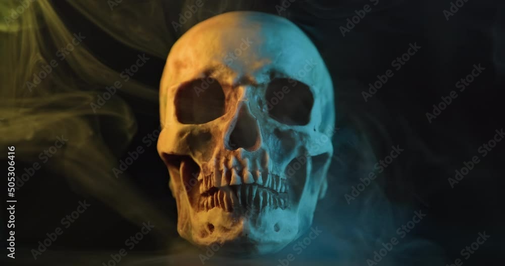 Skull with colored lighting loop closeup Skull with colored lighting loop closeup