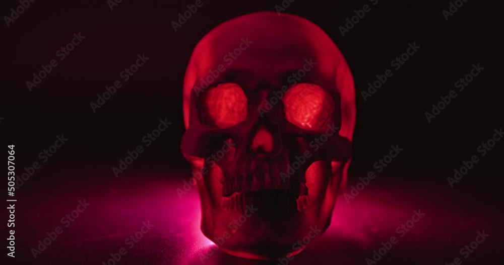 Skull with colored lighting loop closeup Skull with colored lighting loop closeup
