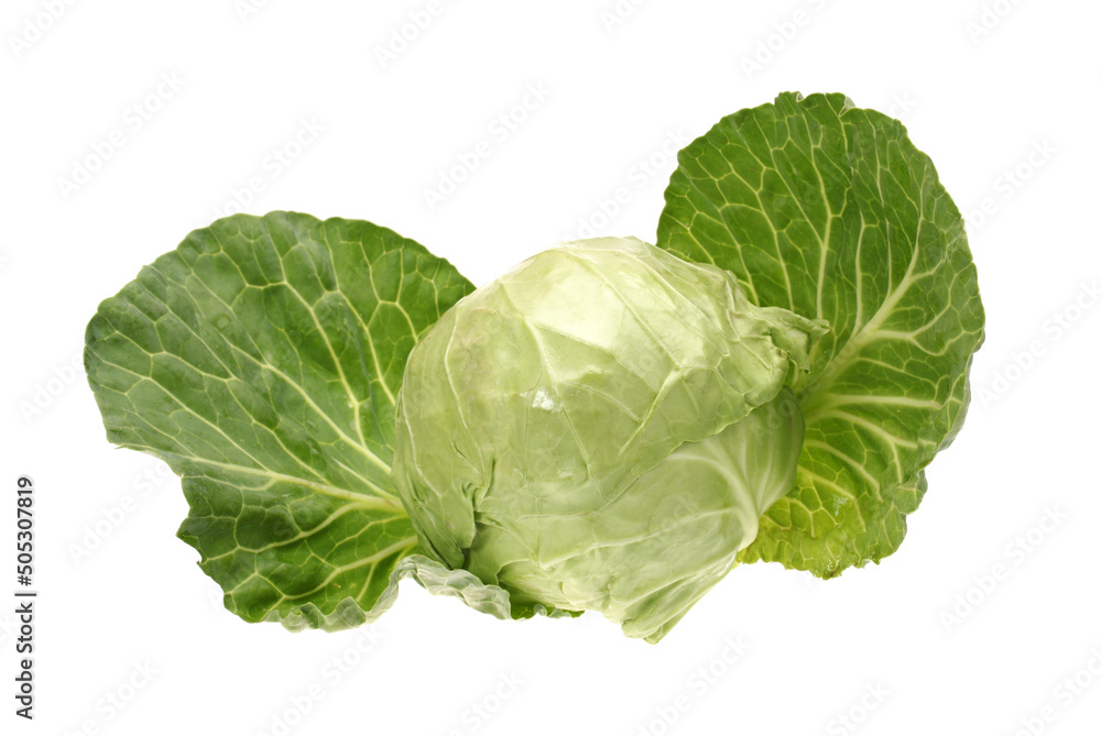 Fresh cabbage isolated on white background Fresh cabbage isolated on white background