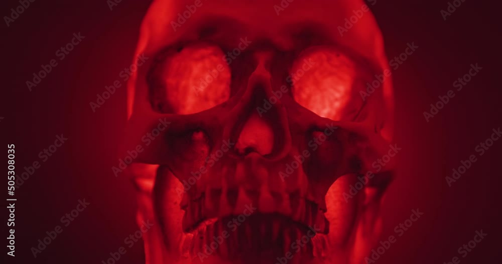Skull with colored lighting loop closeup