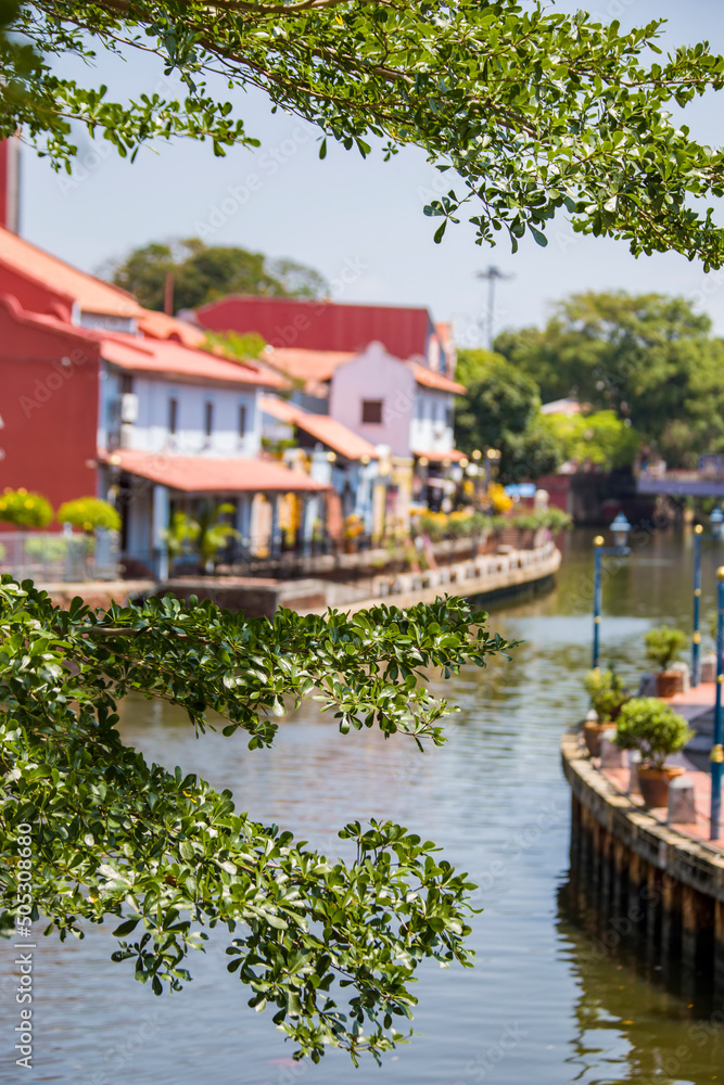 Fototapeta premium The closeup image of green leave. The Bokeh background is the beautiful view of Malacca river, which flows through the middle of Malacca City Malaysia. 