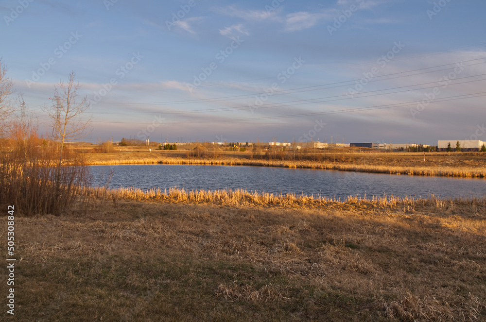 Early Spring Evening at Pylypow Wetlands
