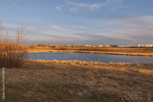 Early Spring Evening at Pylypow Wetlands