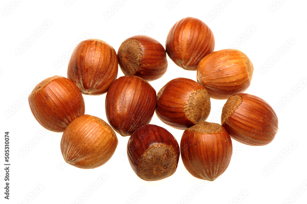 Hazelnuts on a white background Hazelnuts on a white background