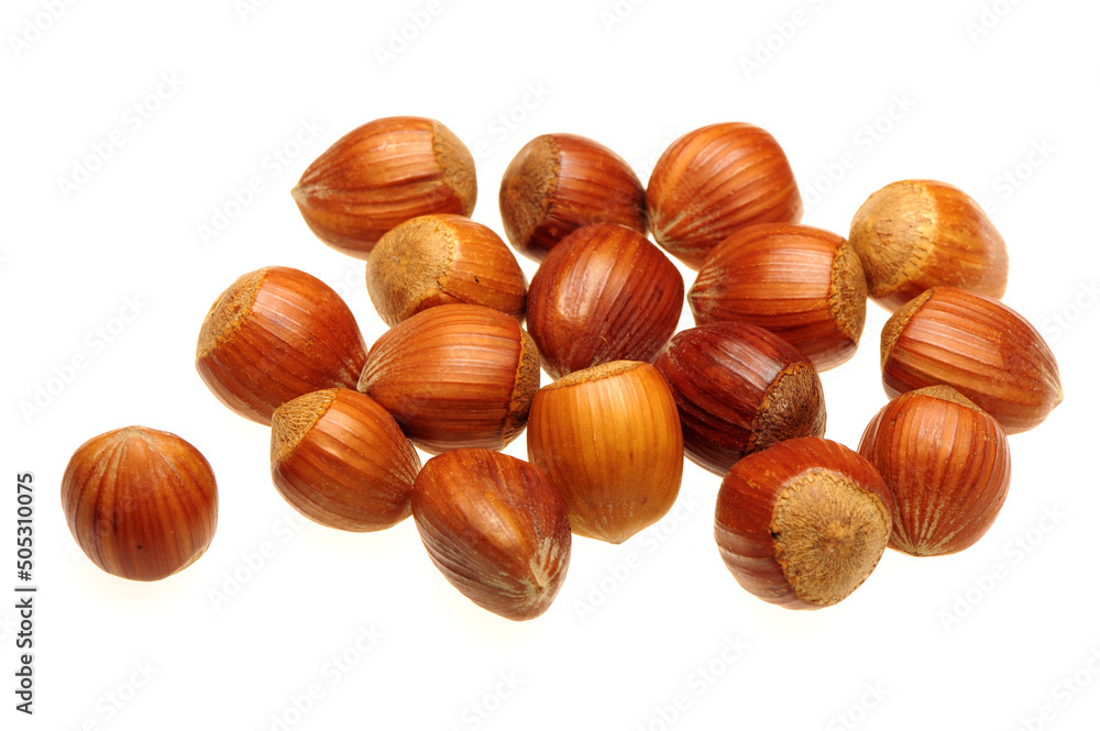 Hazelnuts on a white background Hazelnuts on a white background