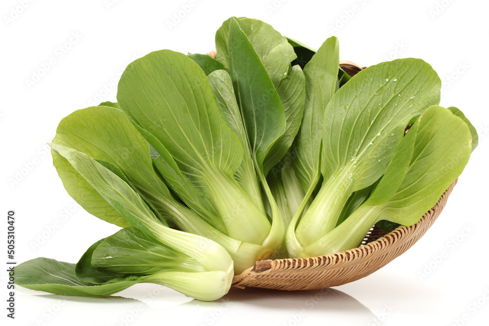 Obraz premium Pok Choi on white background