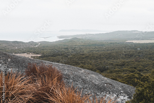 Monkey Rock