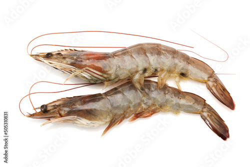 raw shrimps on white background.