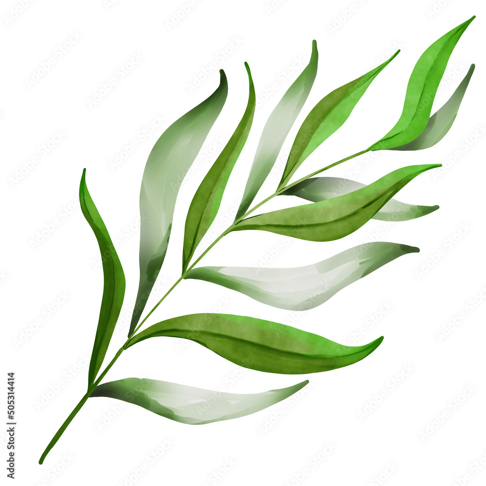 Fototapeta premium Leaf watercolor, leaves watercolor 