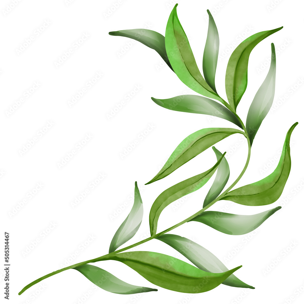 Fototapeta premium Leaf watercolor, leaves watercolor
