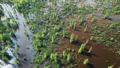 Aerial View Of Cache River State Natural Area, Illinois Bayou photo