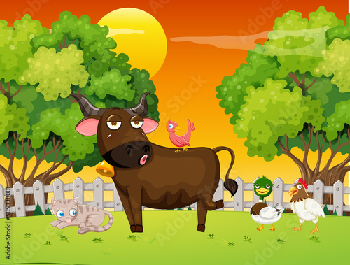 Park scene with many animals