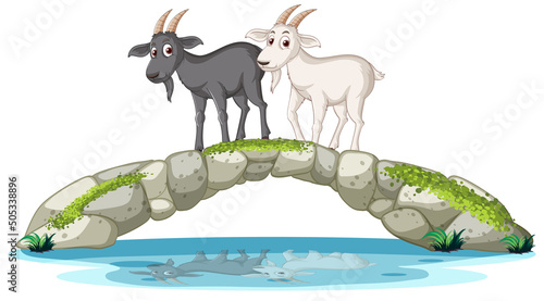 Black and white goats standing on stone bridge