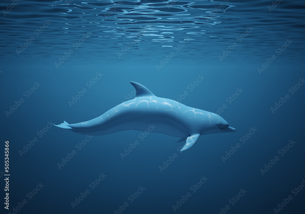 Fototapeta premium Dolphin underwater