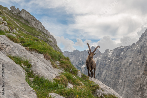 Summer in the Julian Alps mountain landscape