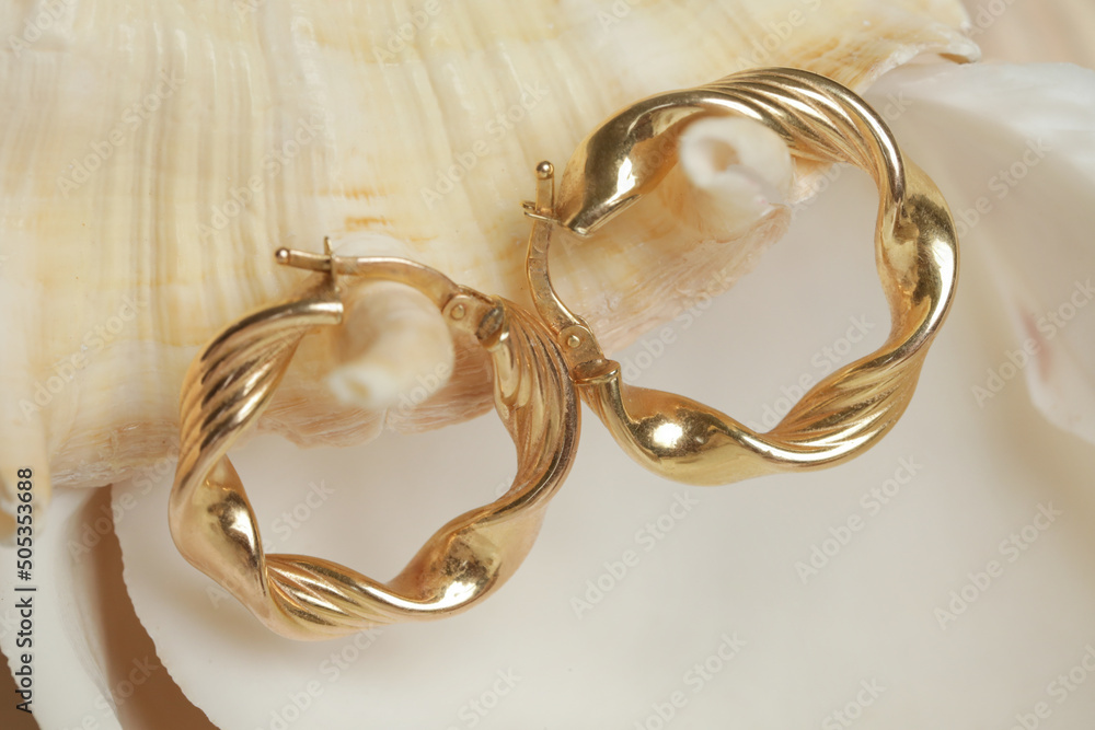 Εκτύπωση καμβά Earrings product shot