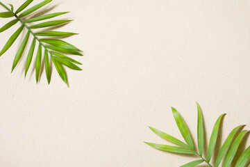 Green tropical leaves with shadows on clean beach sand background