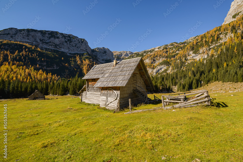 Autumn in the mountains. Take a walk through the larch trees towards the beautiful views. Autumn in the mountains. Take a walk through the larch trees towards the beautiful views.